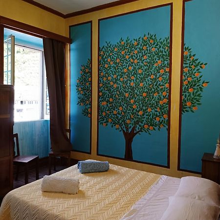 Apartament Avo Da Rosa 2 Faial da Terra Zewnętrze zdjęcie